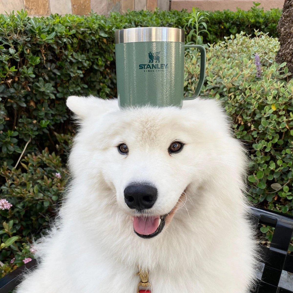 Stanley The Legendary Camp Mug 0,35L - Beker - Hammertone Green 6 Stanley The Legendary Camp Mug 0,35L - Beker - Hammertone Green - Afbeelding 4