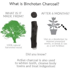 Black + Blum Binchotan Active Charcoal For Eau Good Water Bottles 4-pack -Premium Waterflessenwinkel 1200x1200 150