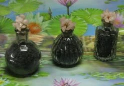 1000g Shungiet Shungite Stenen Voor Water En Ontstoring 22 1000g Shungiet Shungite Stenen Voor Water En Ontstoring -Premium Waterflessenwinkel 1200x832