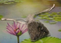 1000g Shungiet Shungite Stenen Voor Water En Ontstoring 23 1000g Shungiet Shungite Stenen Voor Water En Ontstoring -Premium Waterflessenwinkel 1200x853 1