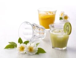 Duralex Picardie Waterglas - 220ml - Gehard Glas - 6 Stuks -Premium Waterflessenwinkel 1200x910 4