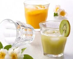 Duralex Picardie Waterglas 310 Ml - Gehard Glas - 6 Stuks 28 Duralex Picardie Waterglas 310 Ml - Gehard Glas - 6 Stuks -Premium Waterflessenwinkel 1200x978