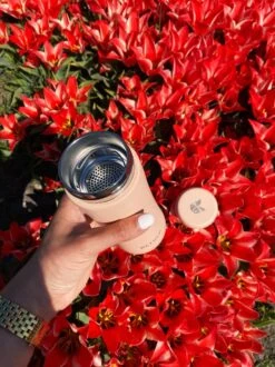 Retulp - Tumbler Thermosbeker – Champagne Pink – 300 Ml - Thermosfles - Roze -Premium Waterflessenwinkel 899x1200